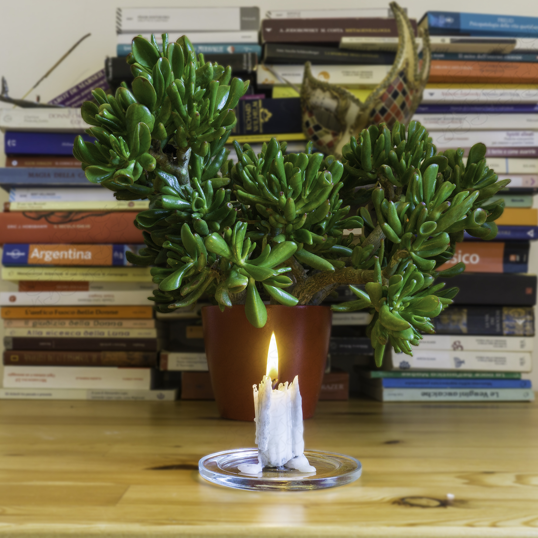 Percorsi di crescita personale e spirituale